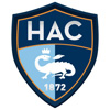 Fanion du club